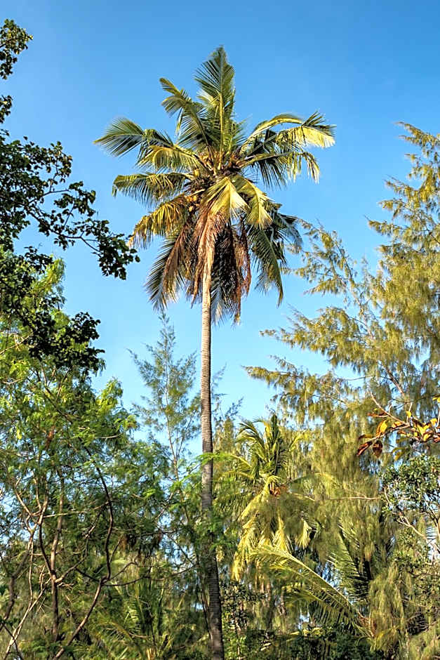 Hakuna Majiwe Beach Resort