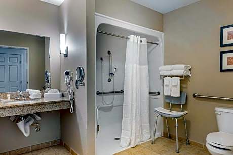 1 King Bed, Suite, Nonsmoking, Accessible