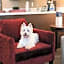 Residence Inn by Marriott Chicago Downtown/Loop