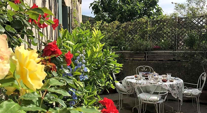 Les Asphodeles Amelie