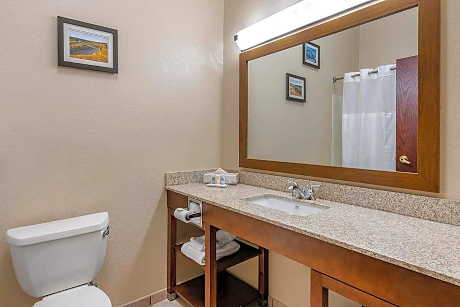 Comfort Inn & Suites St Louis-O'Fallon