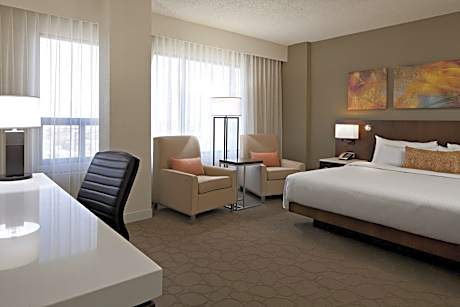 Room (Kid Zone Room) (1 King Bed)