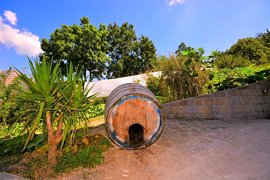 Affittacamere Convivio