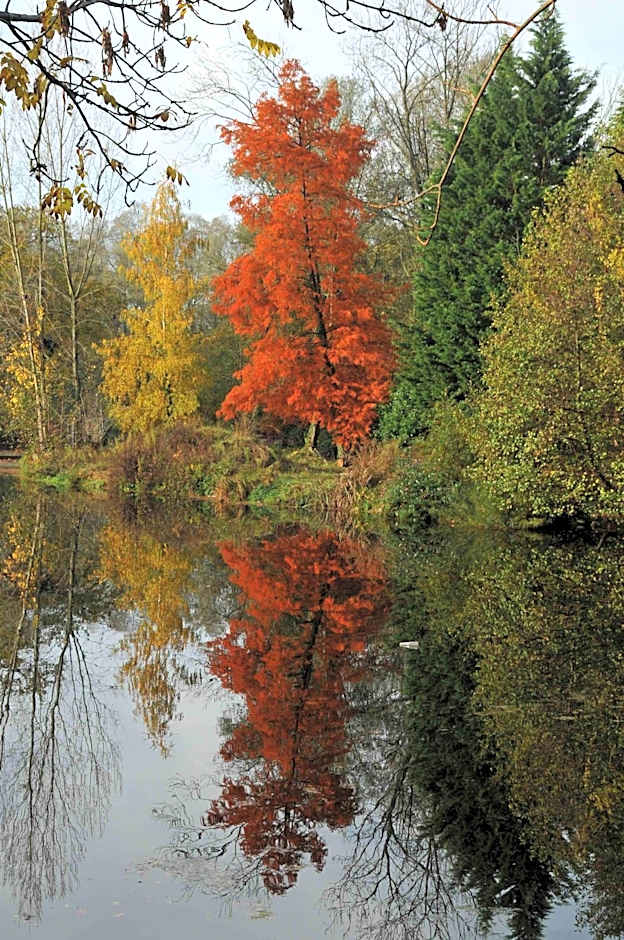 Hôtel L'ile Du Saussay