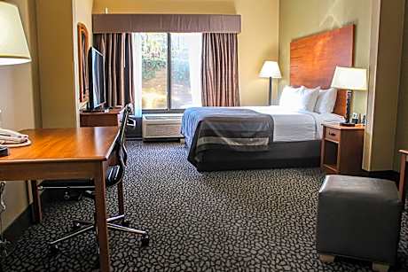 King Room - Disability Access - Non-Smoking