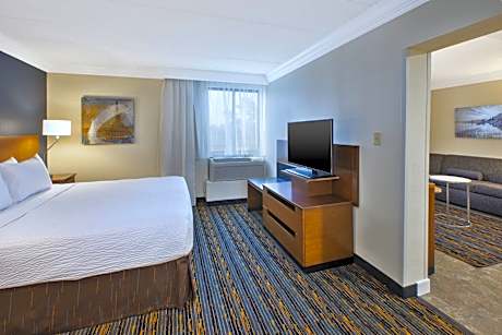Suite, 1 King Bed with Sofa bed (1 King Bed and 1 Double Sofa Bed)