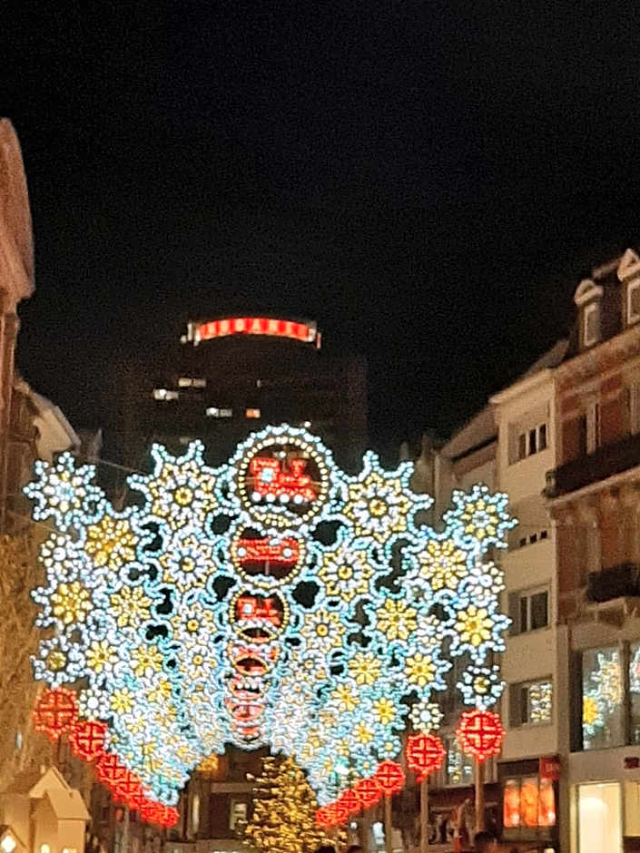 Brit Hotel Mulhouse Centre