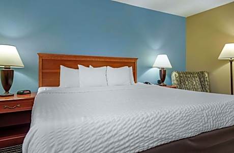 1 King Bed Suite Nonsmoking