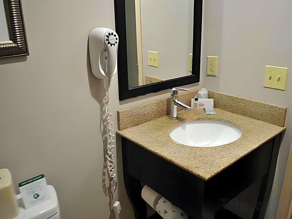 Best Western Owego Inn