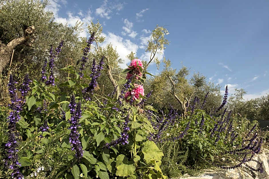 Villa GILDA Relax & Living