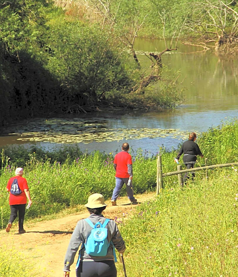 Hotel O Gato - Edificio Standard
