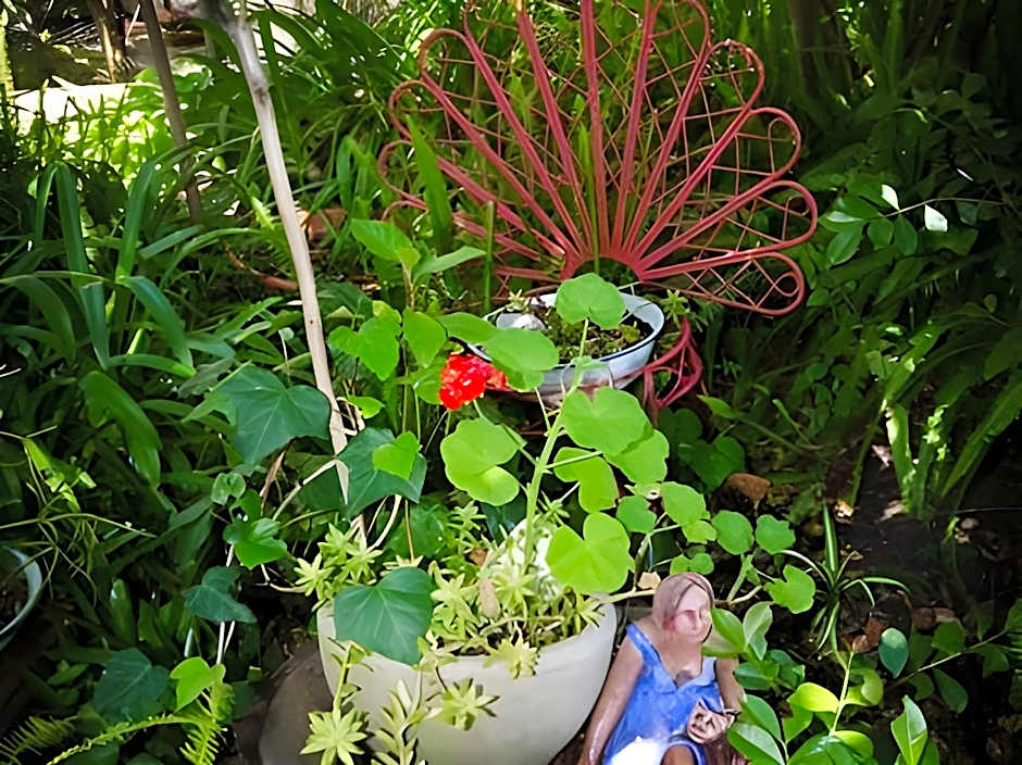 Bamboo, the Guesthouse