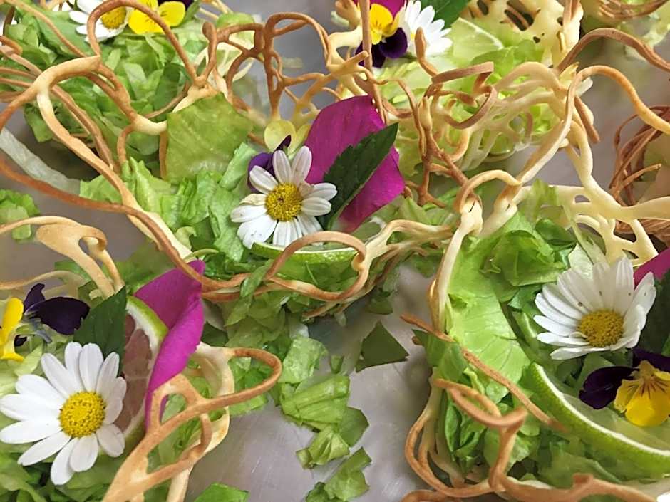 Pałac w Orli - pokoje, restauracja