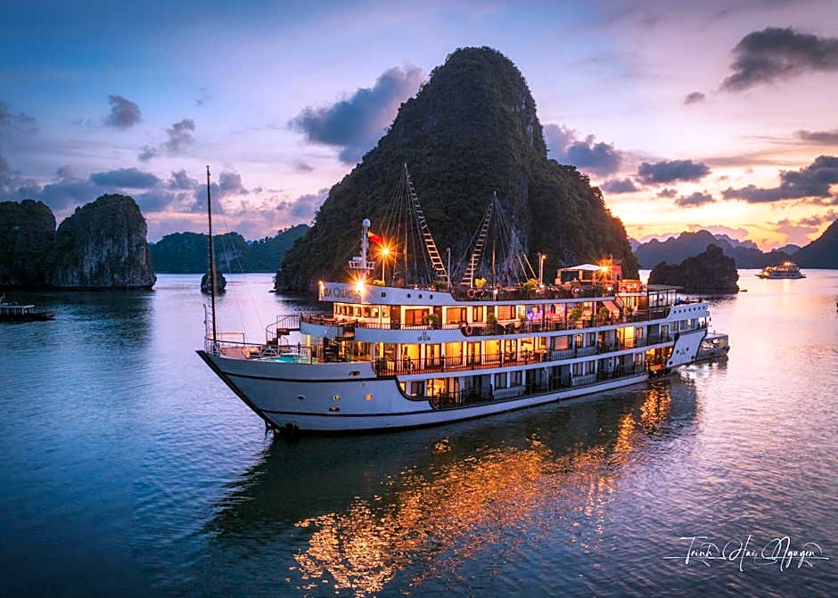 Alisa Premier Cruise