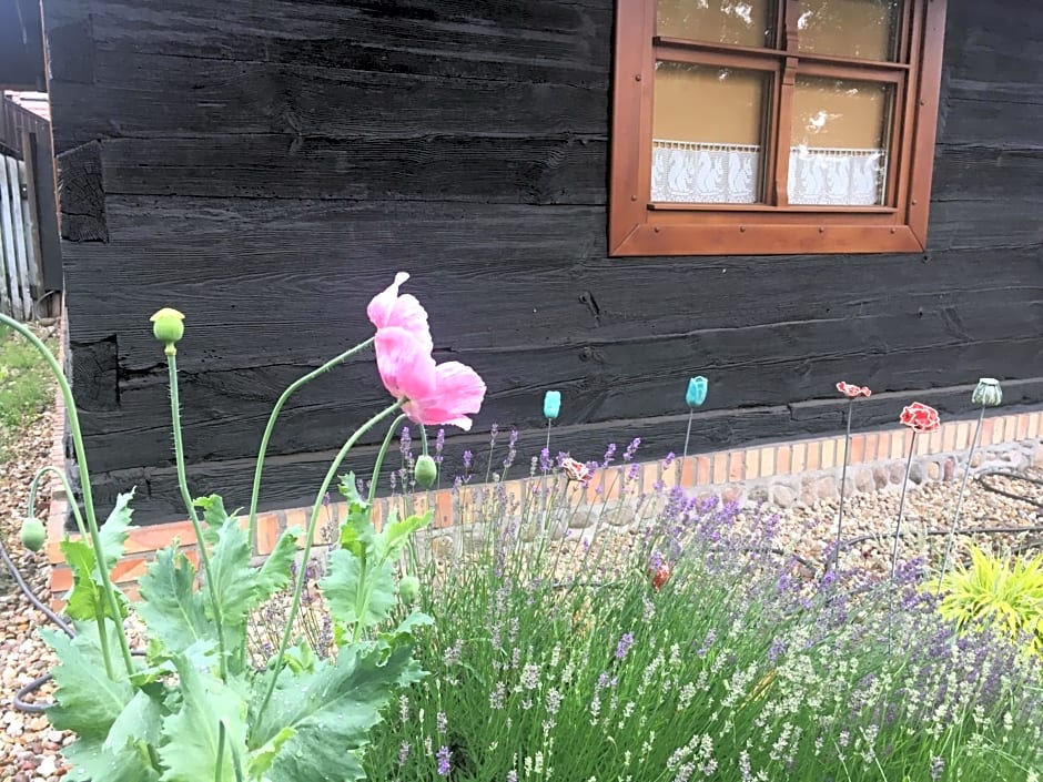 Agroturystyka Hanka i Jurek