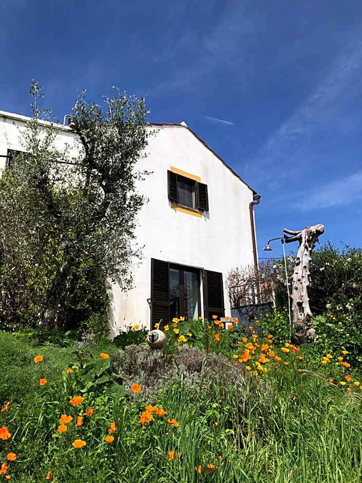 House Of The Three Marias