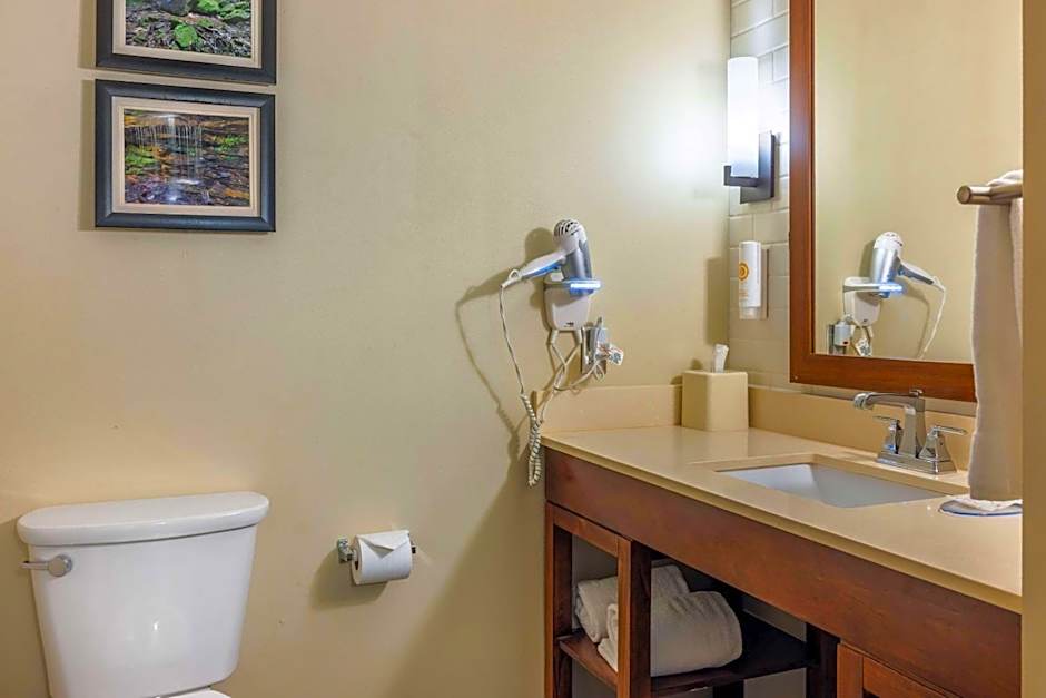 Comfort Inn & Suites At CrossPlex Village