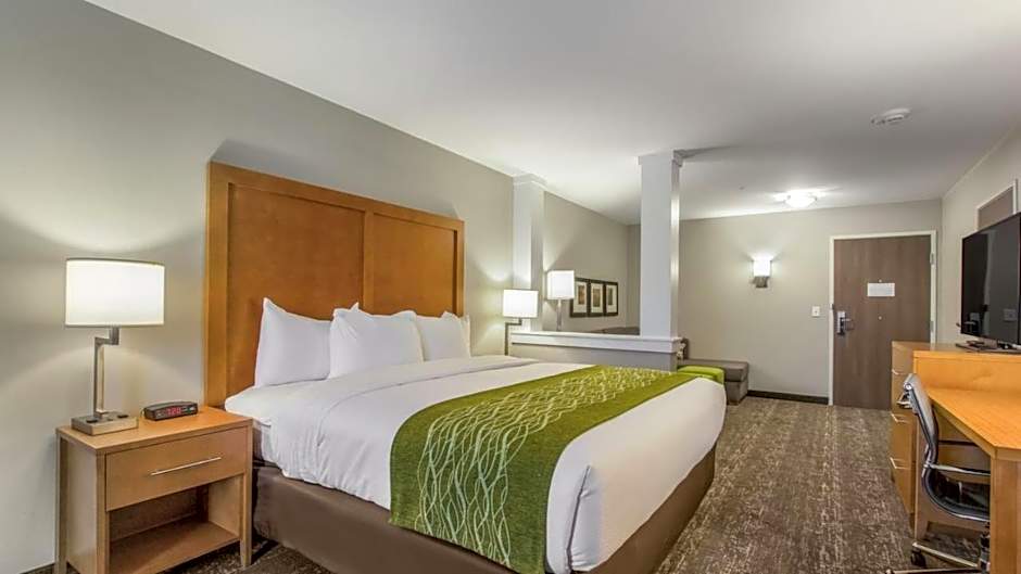 Comfort Inn Jasper South