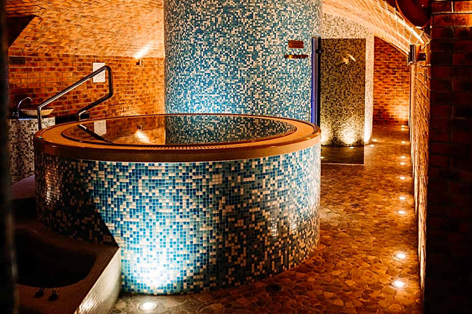 Hotel Gino Park Palace - Kaštieľ Orlové