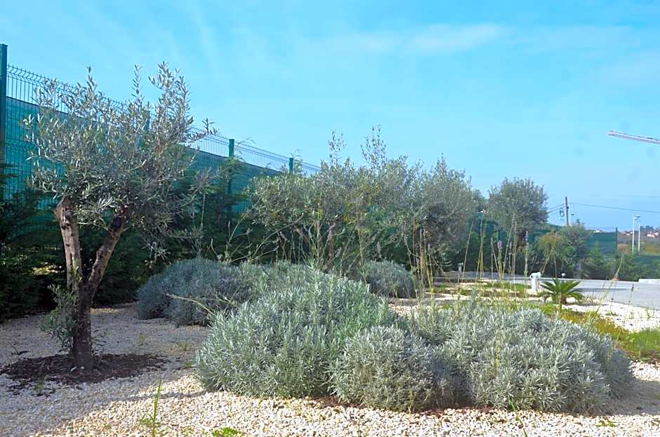 Vinyl M Hotel - Adults Only