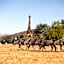 Mabula Game Lodge