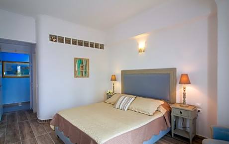 Superior Double or Twin Room with Garden View