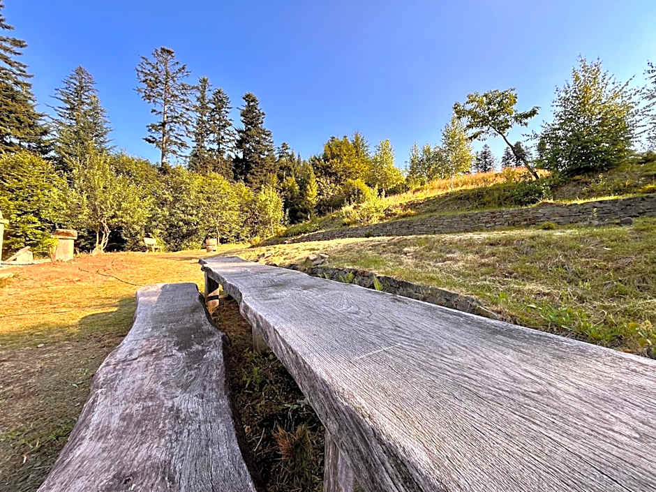 Alpejski Azyl Wisła