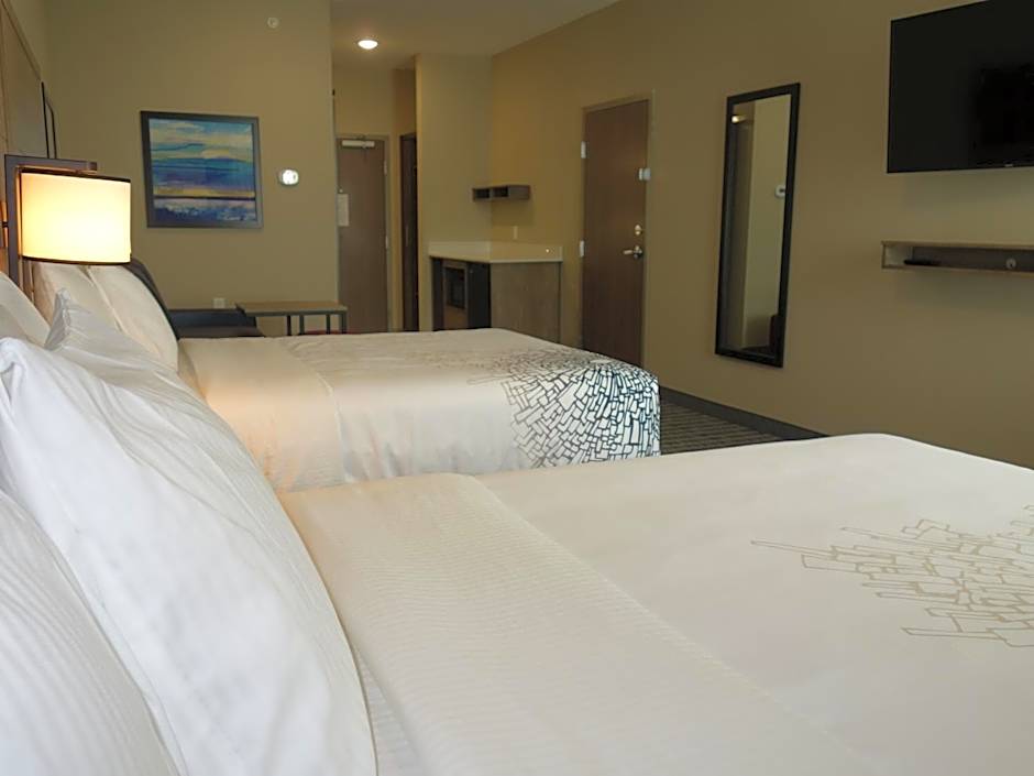 La Quinta Inn & Suites by Wyndham San Antonio Alamo City