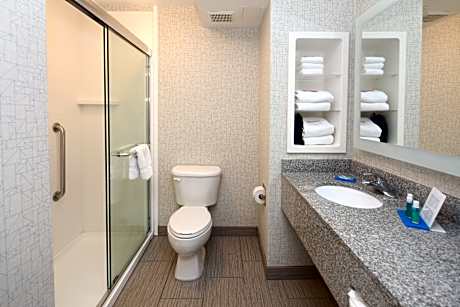 1 King Suite Mobility Accessible Transfer Shower