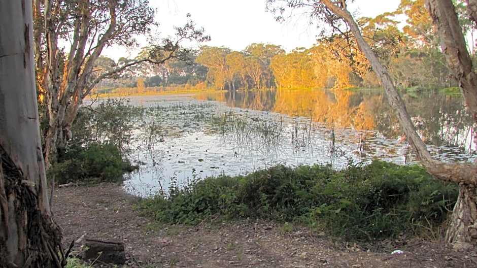 Lake Russell Retreat