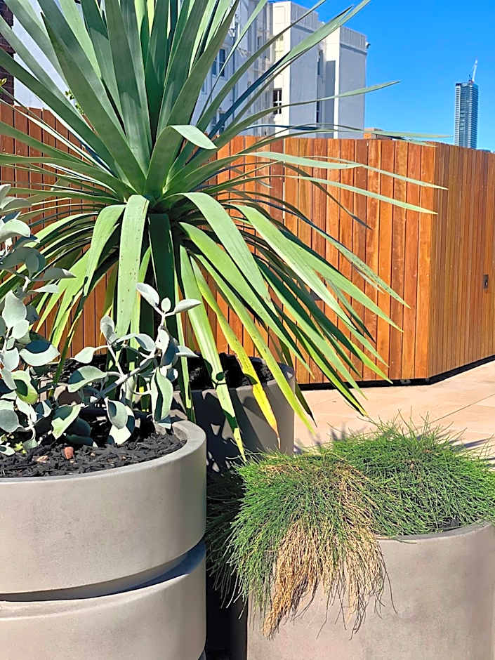 Regents Court Sydney