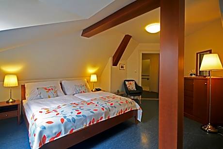 Studio Apartment - Attic