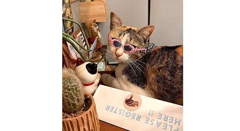 Sleepy House Chiang Rai