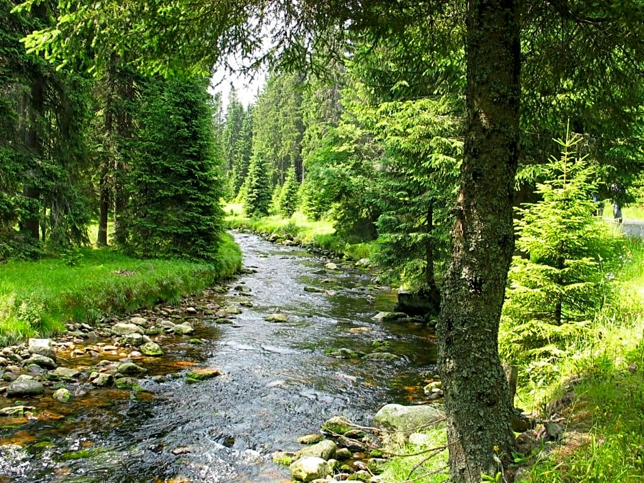 Hotel Srní depandance - Šumava