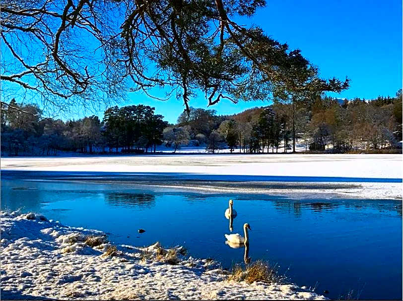 Loch Monzievaird Chalets