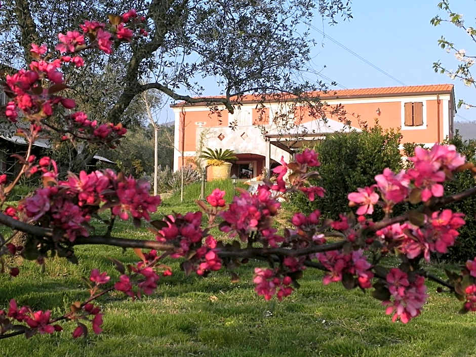 Il Giardino delle Esperidi