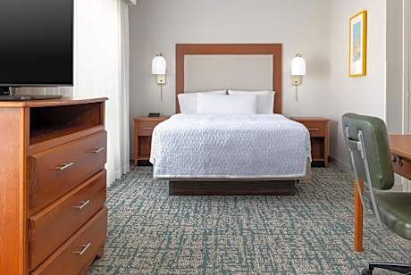1 Queen Bed Studio Suite Nonsmoking