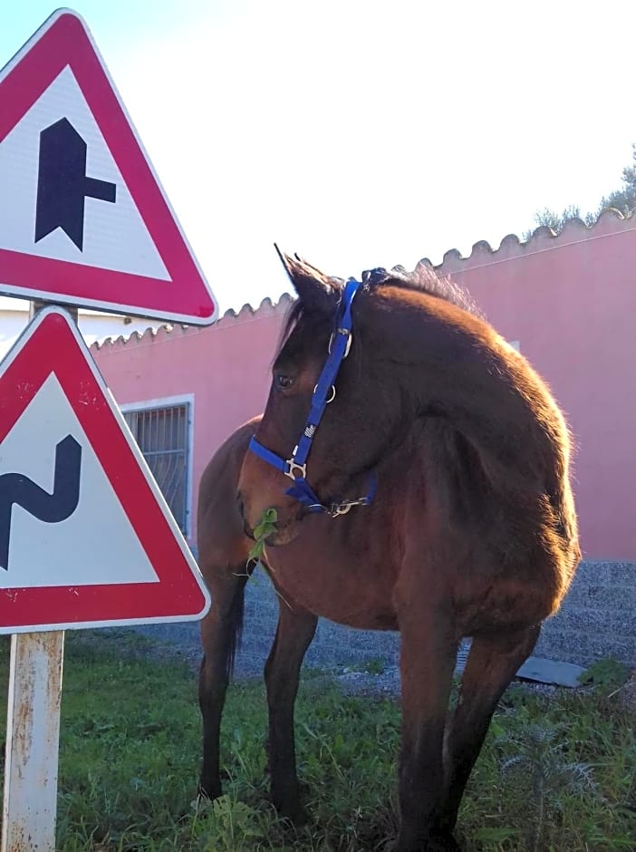 untagged