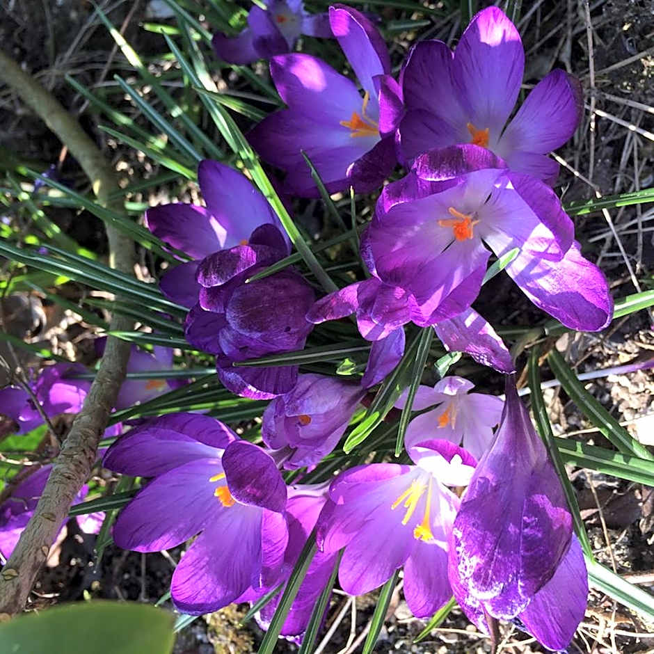 L'Heure Bleue gîtes et chambres d'hôtes