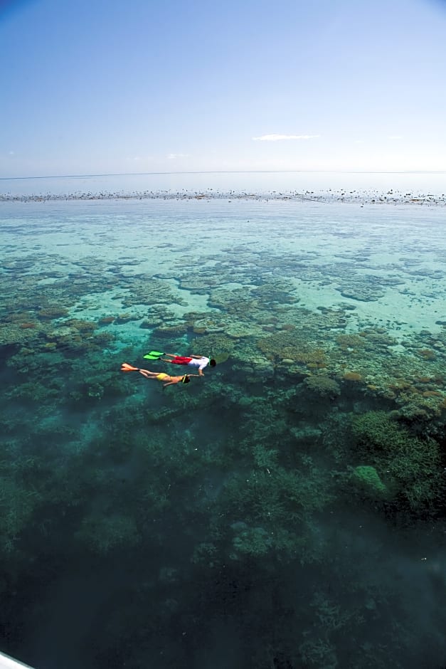 Palm Bungalows Hamilton Island