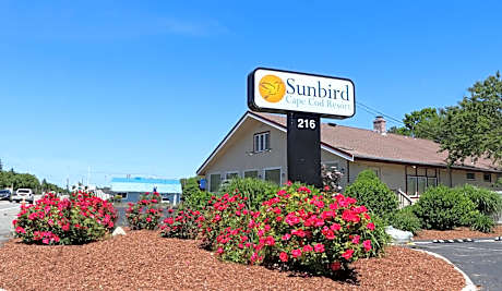 Sunbird Cape Cod Resort