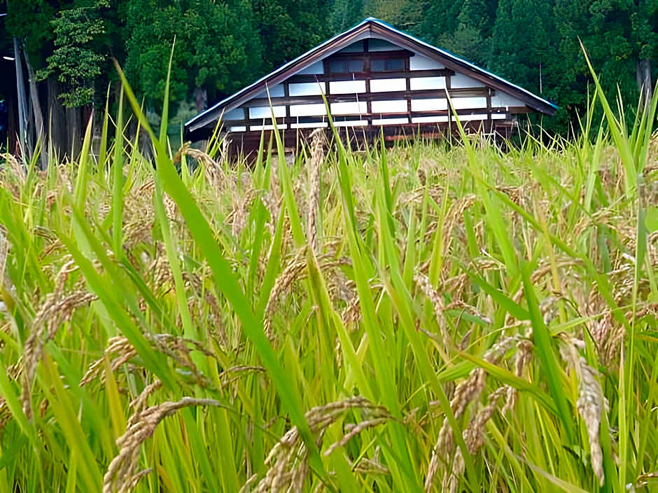 Tamakiya