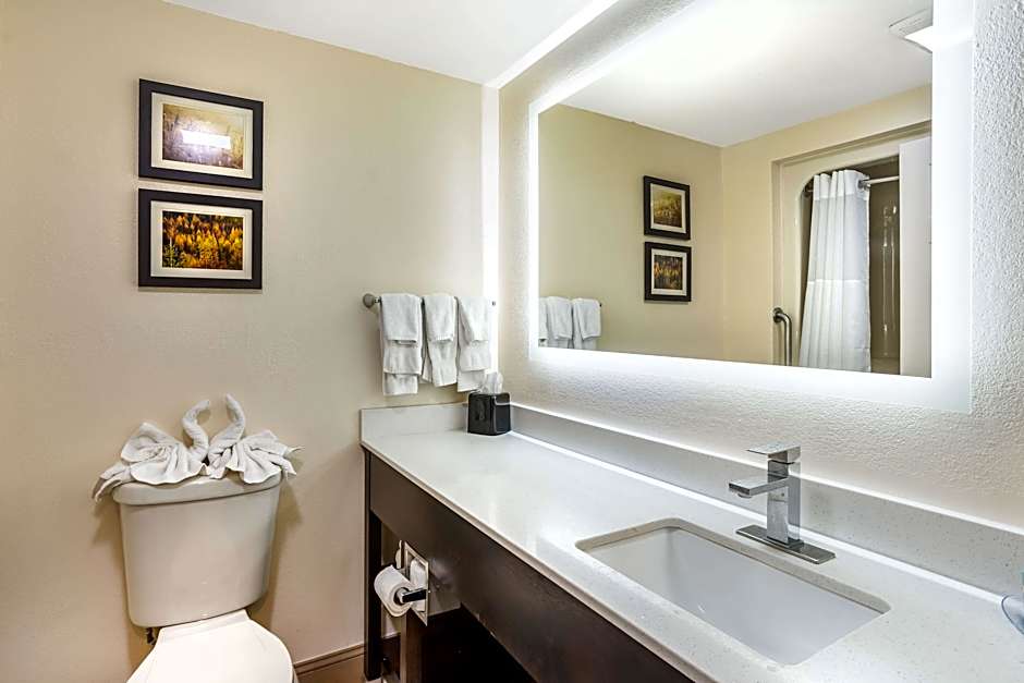 Photo 1 of 9 of 2 Double Beds with Sofabed Suite, Hearing/Mobility Accessible, Roll in Shower