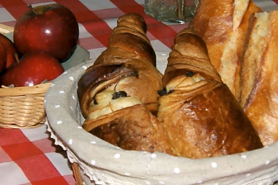 Manoir de la Pataudière B&B