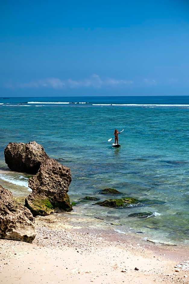 Rock'n Reef