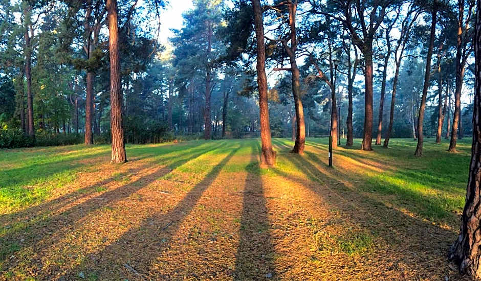 Sopot 34 przy plaży