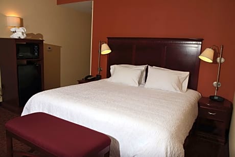 1 King Bed Nonsmoking