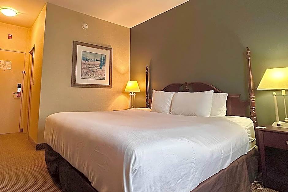 Econo Lodge City Centre