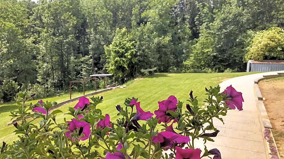 Appartamento La Casa nel Bosco