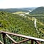 Mansfield Private Reserve